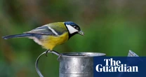 Crossword editor’s desk: time, space and revolutionary watering cans