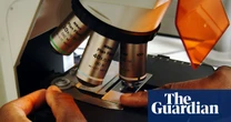 UK recovers position in EU’s Horizon Europe science research programme
