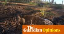 Australian nature: if our laws don’t radically change, environmental degradation will continue | Adam Morton