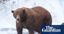 ‘Dominant on the river’: 32 Chunk crowned champion in ‘biggest Fat Bear Week yet’