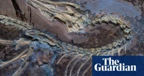 Feathered fossil provides clues about how earliest birds first took flight
