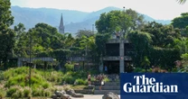 The enchanted car park: how a ruined multi-storey became a garden paradise loved by lizards and dog-walkers