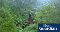 Climate plans of Australian companies would be exempt from private litigation for three years under proposal