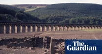 Empty reservoirs, ladybirds and sunstroke: remembering the UK heatwave of 1976