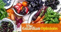 We should all be eating 30 different plants a week. I can’t even name that many | Zoe Williams