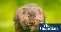 Fears for England riverbank habitats amid relaxed post-Brexit rules