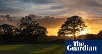 England’s wildlife watchdog failing to protect crucial sites, say campaigners