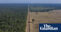 Brazil authorities suspend key Amazon rainforest protection measure