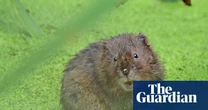 Natural England hails recovery of 150 struggling species