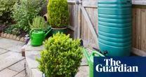 Londoners should be charged for paving gardens, says climate resilience report