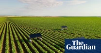 Could robot weedkillers replace the need for pesticides?