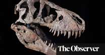 T rex Dinosaur head sold for $6m at US auction reveals new breed of art collectors