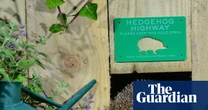 Hedgehog highways could become requirement for new buildings