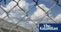 Alarm over ‘extreme’ sentences for anti-ICE protesters convicted of terrorism