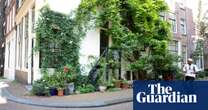 Amsterdammers left bemused at plan to tackle flowerpot ‘jungle’