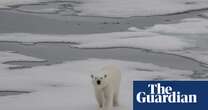 Ice-free summers in Arctic possible within next decade, scientists say