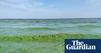UK’s largest lake faces environmental crisis as rescue plans stall
