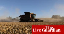 Wheat price heading for biggest jump in two months as Iran war threatens food insecurity – business live