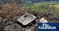Children injured, wildlife slaughtered, forests ravaged: is it time to ban disposable barbecues?