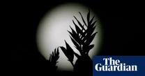 Scientists propose lunar biorepository as ‘backup’ for life on Earth