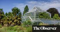 ‘The risk of extinction is accelerating’: world’s botanic gardens raise alarm with space to protect endangered plants running out