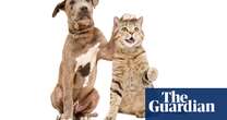 Introduce cats and dogs gradually to prevent fighting, study finds