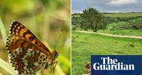 Gaslit, shamed and swindled: the play about Eleanor Glanville, persecuted for her love of butterflies
