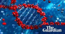 ‘Huge advances in cancer and rare diseases’: 25 years of the human genome – podcast
