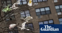 Lobbyist claims that New York anti-plastic bill would harm people of color called ‘misleading’