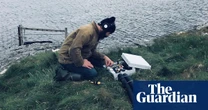 ‘Chipmunks were obsessed with my mics’: the man who recorded a tree for a year