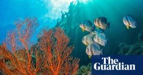 Public strongly backs aim of 30% of land and sea set aside for nature, poll finds