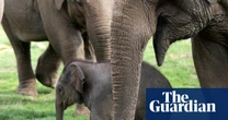 Zoo welfare standards for Britain get first update since 2012