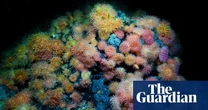 Norway sued over deep-sea mining plans