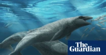 ‘Deceptively cute’ ancient whale with razor-sharp teeth and eyes the size of tennis balls discovered in Australia