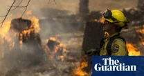 Carbon offsets fail to cut global heating due to ‘intractable’ systemic problems, study says