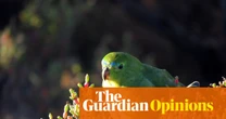 Australia must put politics aside and pass nature laws that benefit the economy and the environment. We owe it to our kids | Zoe Daniel
