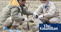 Fukushima soil headed to Japan PM’s flower beds to allay nuclear safety fears