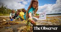 From planting seagrass to spotting seals: how to help look after the UK’s coastline