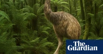 It’s 12ft tall, covered in feathers and has been extinct for 600 years – can the giant moa bird really be resurrected?