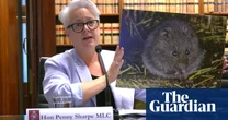 NSW government says state’s biodiversity ‘in crisis’ as it pledges first steps to reverse decline