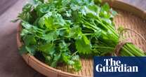 Are there any alternatives to fresh coriander? I hate the stuff | Kitchen aide