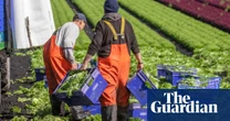 More than 80% of UK farmers worried about climate crisis harming livelihood, study finds