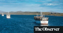 Falkland Islands dispute is causing fishing ‘free-for-all’ in nearby Blue Hole