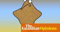 The Maugean skate could be extinct in 10 years – and as usual Albo is making it worse | First Dog on the Moon