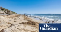 Thousands of tons of invasive seaweed ‘overwhelming’ Spanish beaches