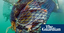 UK MPs call for ban on bottom trawling in protected marine areas