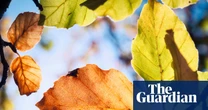 Sex toys, new-season scents and plastic-free sponges: what you loved most this month