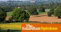 Pylons rule and rural beauty is up for sale. Why do those in power so hate the countryside? | Simon Jenkins