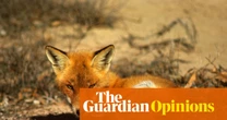 It took just 60 years for the red fox, one of Australia’s most devastating predators, to colonise the continent | Sean Tomlinson and Damien Fordham for the Conversation
