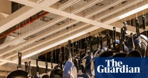 Teflon diet, garlic milk and zebra cows triumph at 2025 Ig Nobel prizes